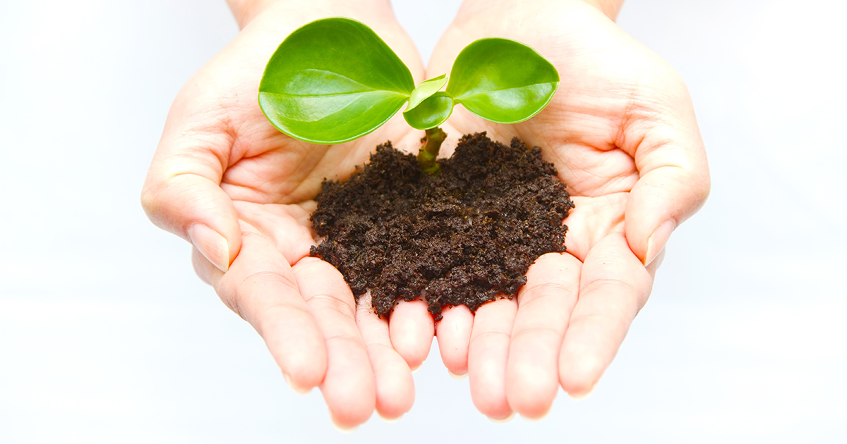 いのちのとりで裁判全国アクションはさまざまな支援を募っております